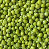 green moong dal-hare moong-hare Mung-green gram