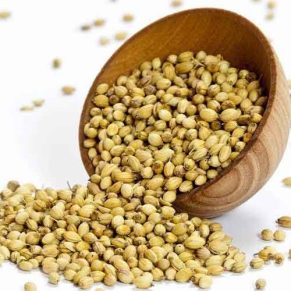 whole coriander-dhania-chineese parsely