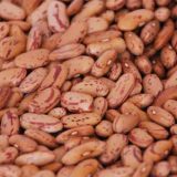 kidney beans-rajma chitra