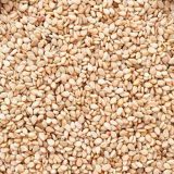 white sesame-til seeds